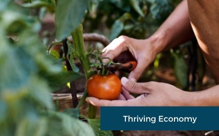 Thriving Economy
